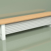 3d model Radiator Delta Column Bench (H300 2000, RAL - 9016) - preview