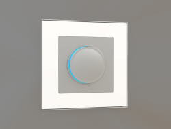 Beleuchteter Dimmer (Silber)