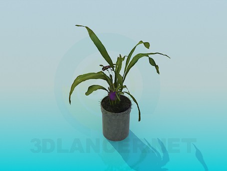 3D modeli Pot - önizleme