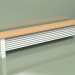 modello 3D Radiator Delta Column Bench (H300 2500, RAL - 9016) - anteprima