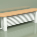 modello 3D Radiator Delta Column Bench (H350 1500, RAL - 9016) - anteprima