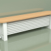 3D Modell Delta Column Bench Radiator (H350 1800, RAL - 9016) - Vorschau