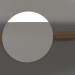 3d model Wall mirror D 600 mm (illuminated ash walnut) - preview