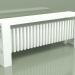 3d модель Радіатор Delta Column Bench V (H300 L1200 B177, RAL - 9016) – превью