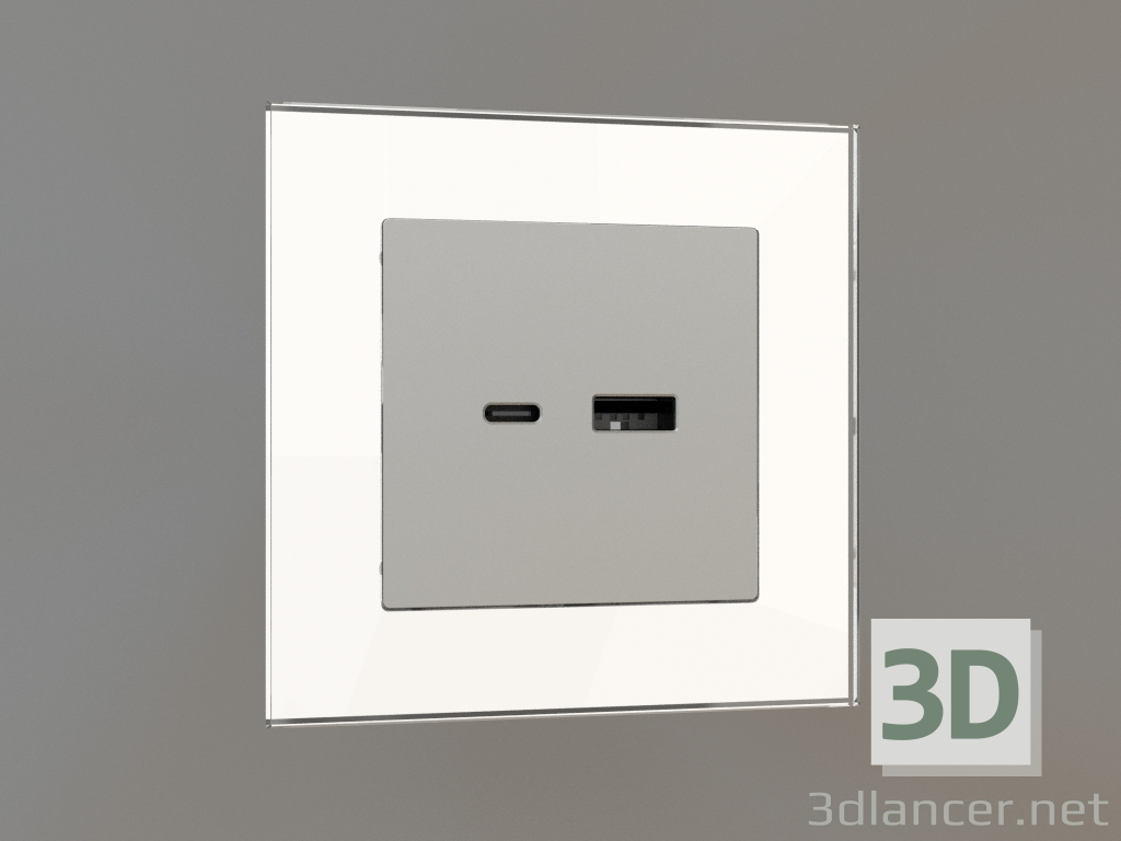 3d model Toma USB tipo A+C (plata) - vista previa