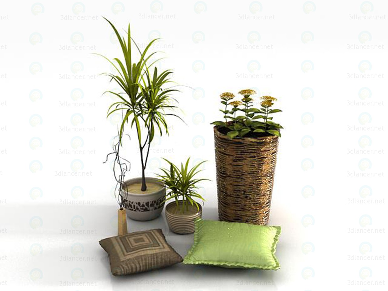 3d model Plantas de interior con accesorios - vista previa