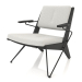 3d model Lounge chair with a metal frame (black oak) - preview