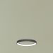 3d model Pendant lamp RING (380) 30W 4000K SBK 11001 - preview