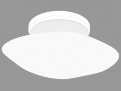 Wall & ceiling lighting fitting F07 G15 01