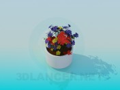 Vaso di fiori con fiori