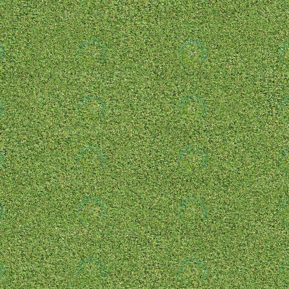 Texture Grass Téléchargement gratuit - image