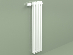 Radiator Delta Laserline (DL2, H 900 mm, RAL - 9016)