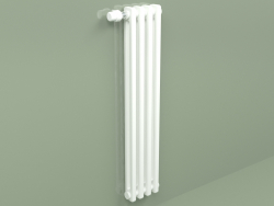 Radiator Delta Laserline (DL2, H 965 mm, RAL - 9016)