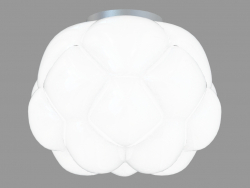 Ceiling lighting fixture F21 E02 71