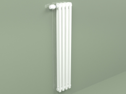 Radiator Delta Laserline (DL2, H 1065 mm, RAL - 9016)