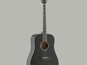 Acoustic guitar