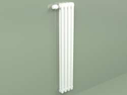 Radiator Delta Laserline (DL2, H 1100 mm, RAL - 9016)