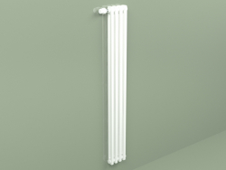 Radiator Delta Laserline (DL2, H 1500 mm, RAL - 9016)