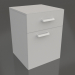 3d model Built-in cabinet LK-450 TD-V - preview 3d model Built-in cabinet LK-450 TD-V - preview
