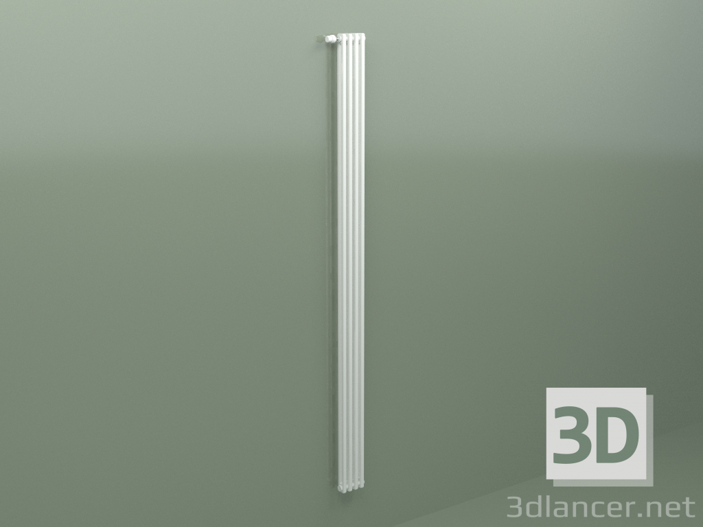 modèle 3D Radiateur Delta Laserline (DL2, H 3000 mm, RAL - 9016) - preview