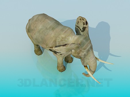 3D Modell Elefant - Vorschau