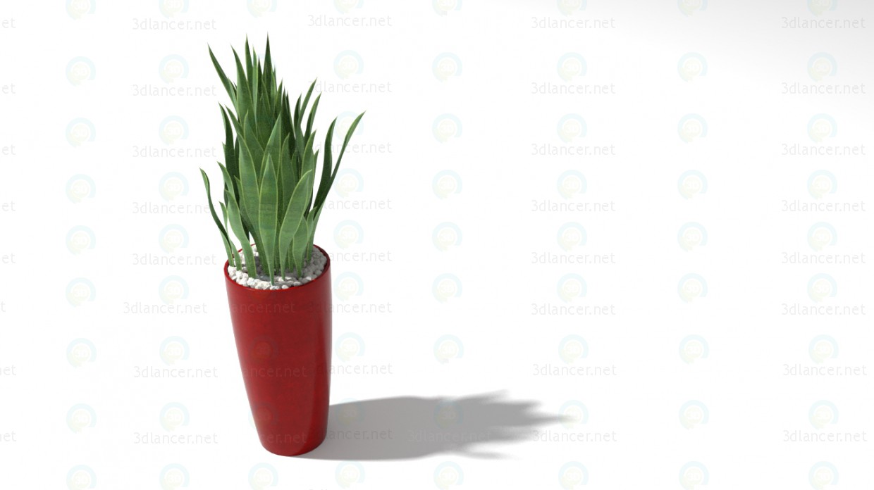 3d model Indoor flower - preview