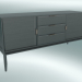 3d model Chest of drawers with 2 facades and 3 drawers (Gray Oak) - preview