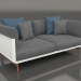 3d model 2-seater sofa (Agate gray) - preview