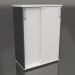 3d model Wardrobe with sliding doors Standard A3P04 (800x432x1129) - preview