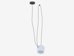 Pendant light (S111013 1A gray)