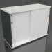 3d model Armario con puertas correderas Standard A2P05 (1000x432x740) - vista previa