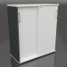 modèle 3D Armoire à portes coulissantes Norme A3P05 (1000x432x1129) - preview