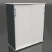 3D Modell Kleiderschrank mit Schiebetüren Standard MEA3P05 (1000x432x1189) - Vorschau