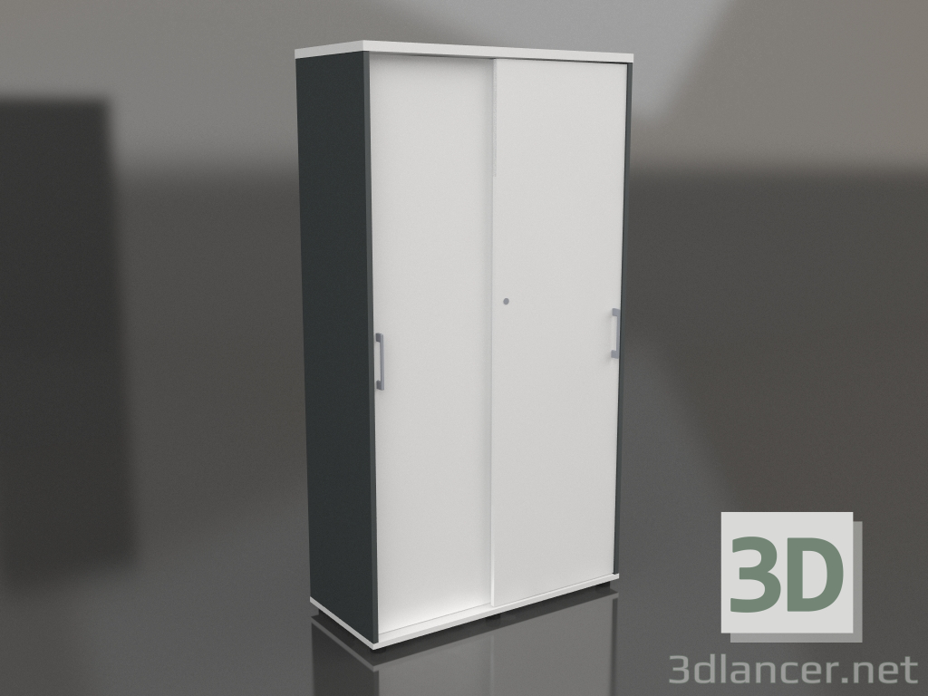 3D Modell Schrank mit Schiebetüren Standard A5P05 (1000x432x1833) - Vorschau