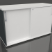 3D Modell Kleiderschrank mit Schiebetüren Standard A2P06 (1200x432x740) - Vorschau