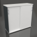 3d model Cabinet with sliding doors Standard A3P06 (1200x432x1129) - preview