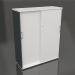 3d model Armario con puertas correderas Standard A4P06 (1200x432x1481) - vista previa