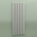 modèle 3D Radiateur SAX 2 (H 2000 20 EL, gris Manhattan) - preview