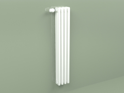 Radiator Delta Laserline (DL3, H 1100 mm, RAL - 9016)