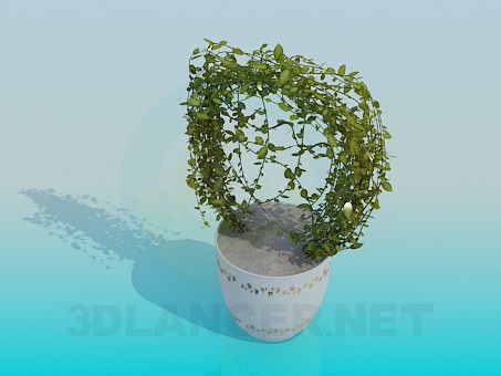 modello 3D Vaso con fiore - anteprima