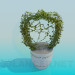 3d model Pot with flower - preview