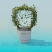 3d model Pot with flower - preview