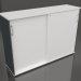 3D Modell Schrank mit Schiebetüren Standard A3P16 (1610x432x1129) - Vorschau