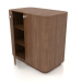 3d model Cabinet TM 031 (ajar) (660x400x650, wood brown light) - preview