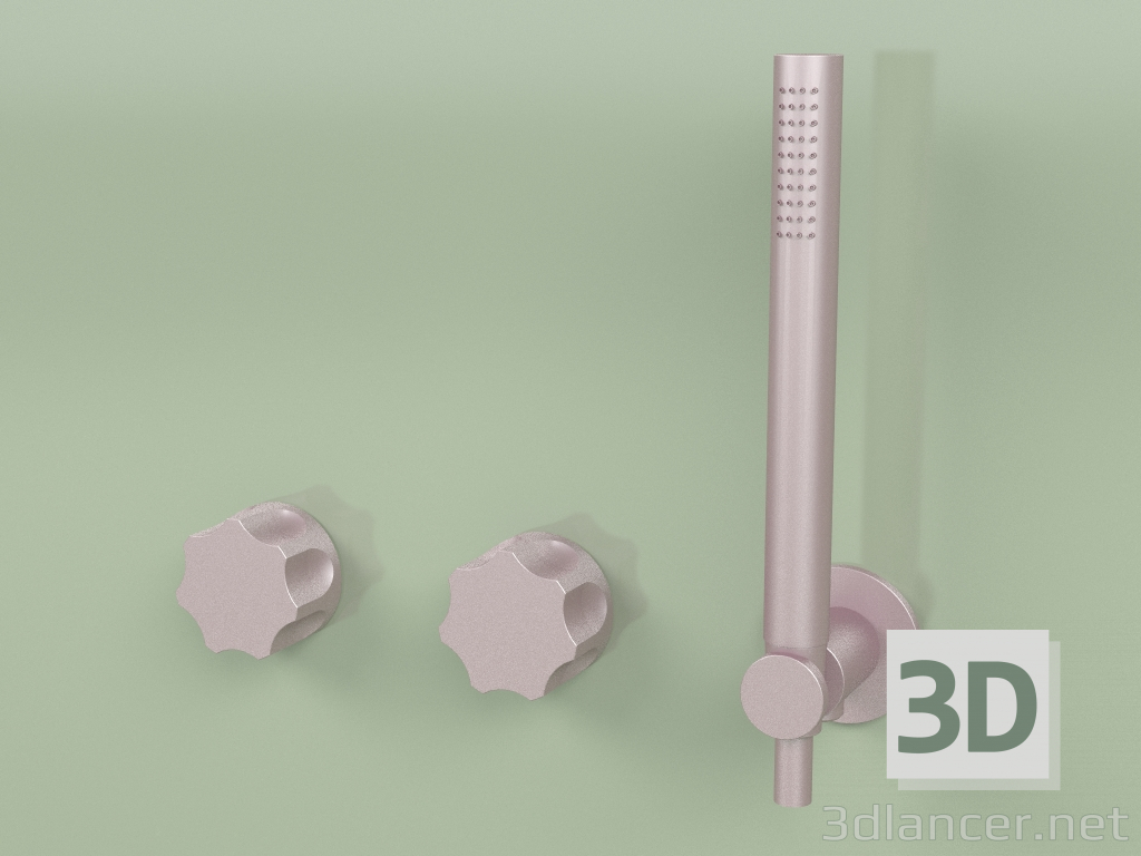 3D Modell Wandmontiertes Set aus 2 Hydro-Progressivmischern mit Handbrause (17 68, OR) - Vorschau