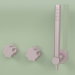 3d model Wall-mounted set of 2 hydro-progressive mixers with hand shower (17 68, OR) - preview