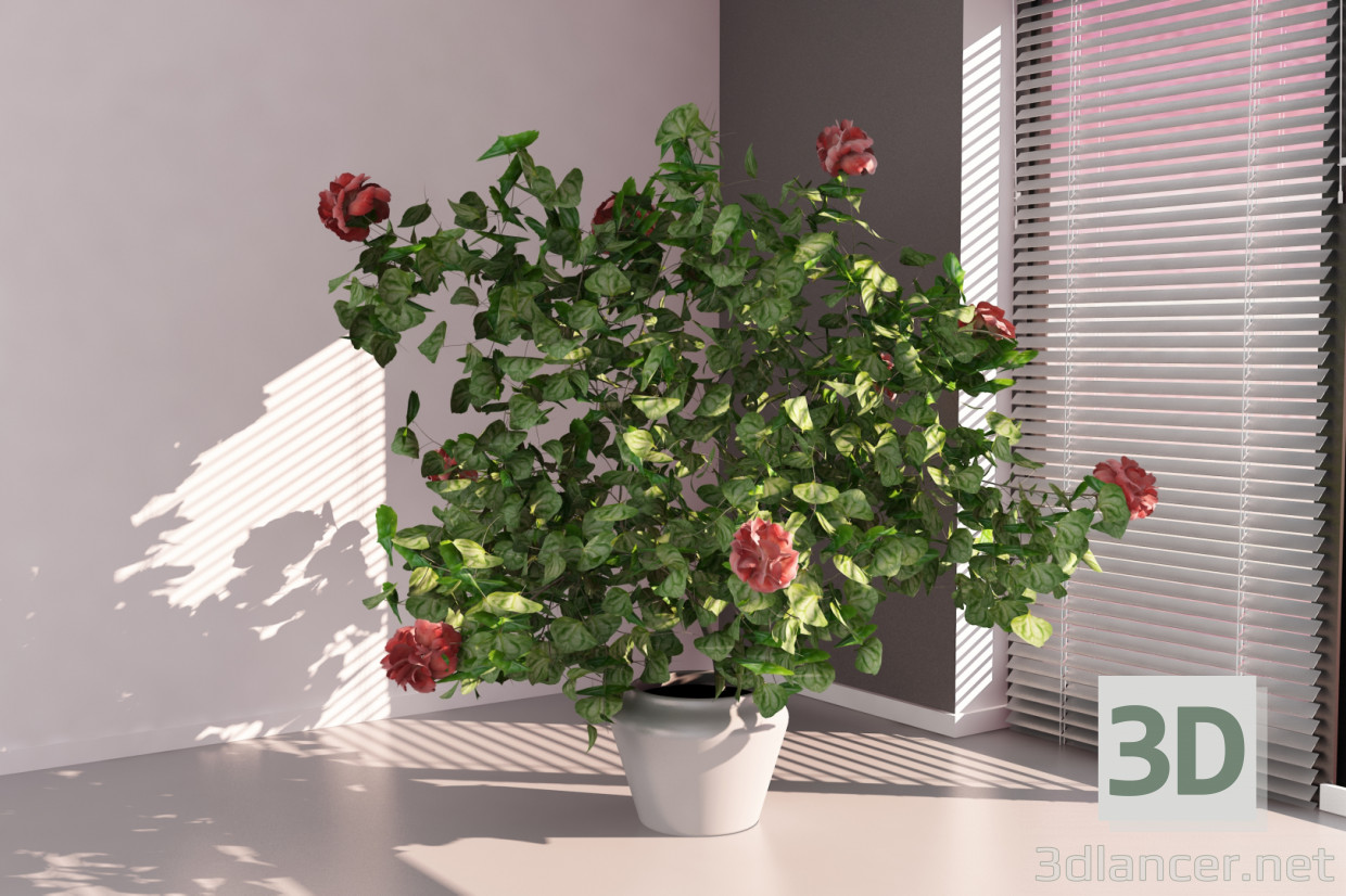 3d Hibiscus model buy - render