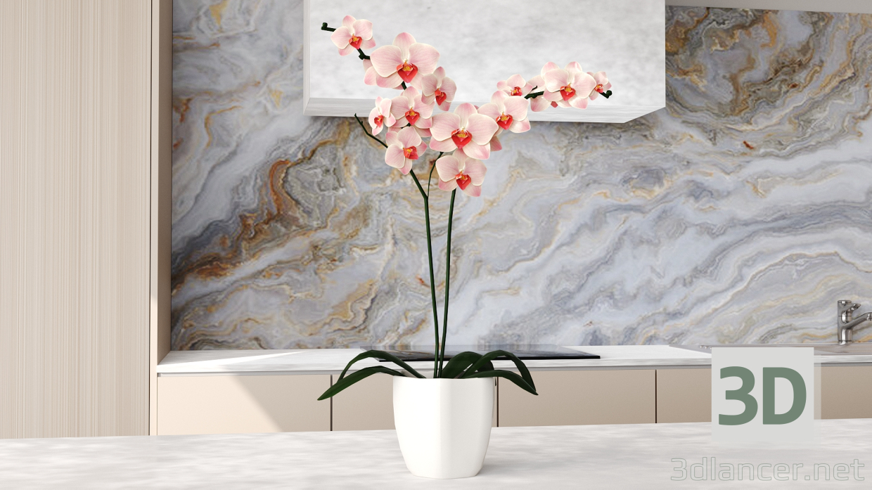 3d orchid model buy - render