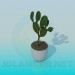 3d model Cactus - vista previa