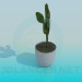 3d model Cactus - vista previa